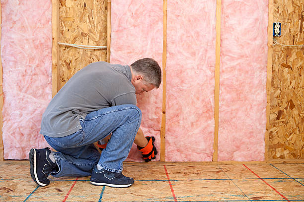 Best Eco-Friendly Insulation in Germantown, MD